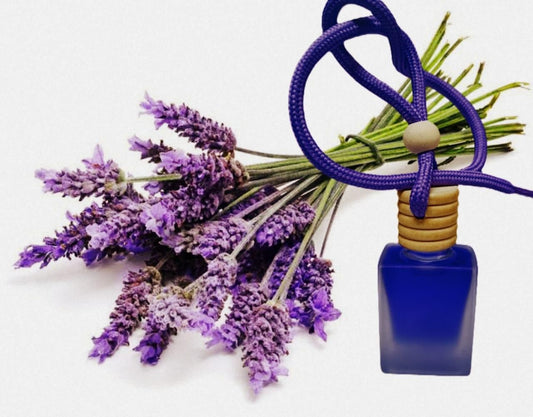 False Paradise — Car Freshner